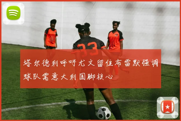 塔尔德利呼吁尤文留住布雷默强调球队需意大利国脚核心